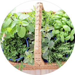 DOSH-product-spices